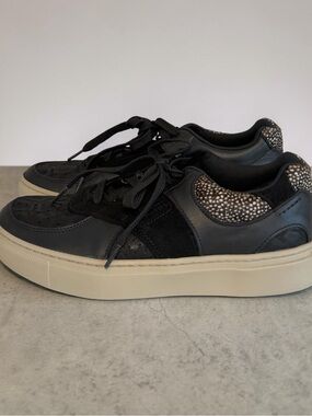 SAS Women’s Walkaround Sneakers Black Leather & Suede With Leopard Heel- 8.5 M